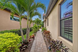 11658 CALLISIA DRIVE, ODESSA, FL 33556 - MLS#MFRW7883854