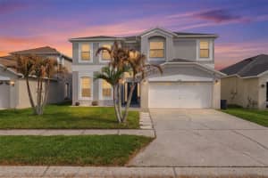 1312 BROOKE VIEW DRIVE, ODESSA, FL 33556 - MLS#MFRW7883869