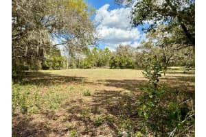 10010 FORT KING ROAD, DADE CITY, FL 33525 - MLS#MFRW7883929