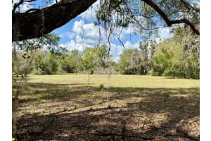 10010 FORT KING ROAD, DADE CITY, FL 33525 - MLS#MFRW7883929