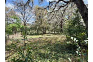 10010 FORT KING ROAD, DADE CITY, FL 33525 - MLS#MFRW7883929