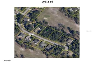 LYDIA CT, SPRING HILL, FL 34608 - MLS#MFRW7883945