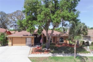 5641 Mossberg Dr, NEW PORT RICHEY