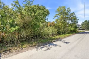 100 FERN STREET, NEW PORT RICHEY, FL 34654 - MLS#MFRW7883982