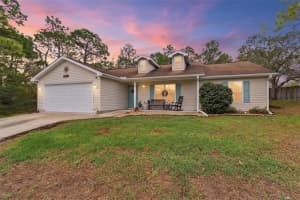 10294 Dotted Wren Ave, WEEKI WACHEE