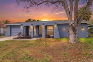 10011 CHERRY CREEK LANE, PORT RICHEY, FL 34668 - MLS#MFRW7883993