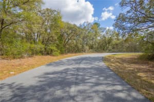 8743 SANDREE DRIVE, CITRUS SPRINGS, FL 34434 - MLS#MFRW7883997