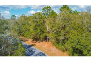 8743 SANDREE DRIVE, CITRUS SPRINGS, FL 34434 - MLS#MFRW7883997