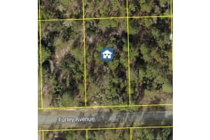 11323 FURLEY AVENUE, WEEKI WACHEE, FL 34613 - MLS#MFRW7884004