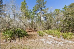 11323 FURLEY AVENUE, WEEKI WACHEE, FL 34613 - MLS#MFRW7884004