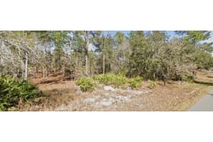 11323 FURLEY AVENUE, WEEKI WACHEE, FL 34613 - MLS#MFRW7884004