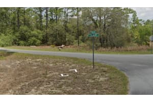 3091 REDGATE DRIVE, DUNNELLON, FL 34433 - MLS#MFRW7884006