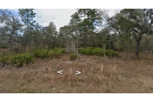 11353 QUILL AVENUE, BROOKSVILLE, FL 34614 - MLS#MFRW7884009