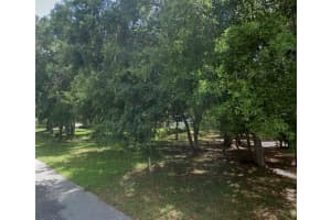 34027 CONGRESSIONAL AVENUE, DADE CITY, FL 33523 - MLS#MFRW7884027