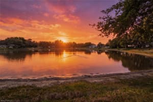 8330 DIVOT WAY, PORT RICHEY, FL 34668 - MLS#MFRW7884034