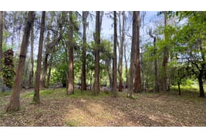 12341 DEER LAKE DRIVE, NEW PORT RICHEY, FL 34654 - MLS#MFRW7884037