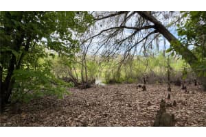 12341 DEER LAKE DRIVE, NEW PORT RICHEY, FL 34654 - MLS#MFRW7884037