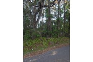 0 BETHUNE STREET, BROOKSVILLE, FL 34601 - MLS#MFRW7884060