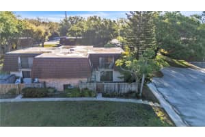 2605 10TH COURT, PALM HARBOR, FL 34684 - MLS#MFRW7884106