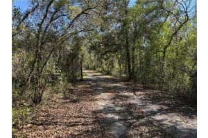 32404 MARCHMONT CIRCLE, DADE CITY, FL 33523 - MLS#MFRW7884129