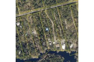 32404 MARCHMONT CIRCLE, DADE CITY, FL 33523 - MLS#MFRW7884129