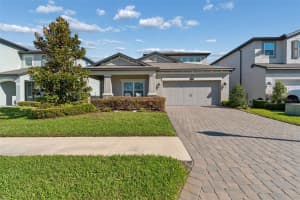 19779 MORSANI ROAD, LUTZ, FL 33558 - MLS#MFRW7884160