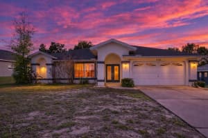 9350 MALLARD STREET, SPRING HILL, FL 34606 - MLS#MFRW7884167