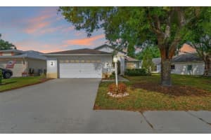 1249 WINDING WILLOW DRIVE, TRINITY, FL 34655 - MLS#MFRW7884174