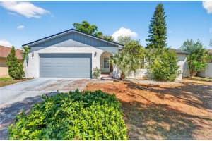1129 Forbes Trce, TARPON SPRINGS
