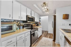 1129 FORBES TRACE, TARPON SPRINGS, FL 34689 - MLS#MFRW7884237