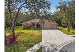 14024 WARM SPRINGS COURT, HUDSON, FL 34667 - MLS#MFRW7884251