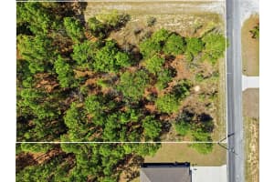 Lot 25 THRASHER AVENUE, WEEKI WACHEE, FL 34614 - MLS#MFRW7884256