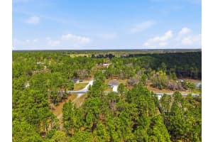 Lot 25 THRASHER AVENUE, WEEKI WACHEE, FL 34614 - MLS#MFRW7884256
