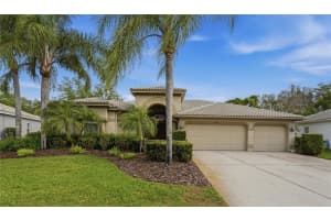 1297 KINGS WAY LANE, TARPON SPRINGS, FL 34688 - MLS#MFRW7884290