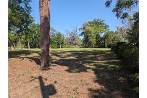 8519 ADONIS RD, NEW PORT RICHEY, FL 34654 - MLS#MFRW7884327