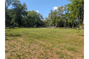 8519 ADONIS RD, NEW PORT RICHEY, FL 34654 - MLS#MFRW7884327