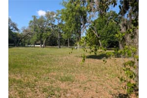 8519 ADONIS RD, NEW PORT RICHEY, FL 34654 - MLS#MFRW7884327
