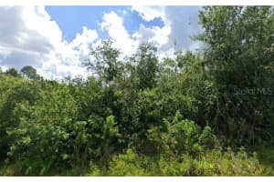 2336 DRENNON STREET, PORT CHARLOTTE, FL 33953 - MLS#MFRW7884334