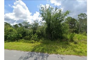 2336 DRENNON STREET, PORT CHARLOTTE, FL 33953 - MLS#MFRW7884334