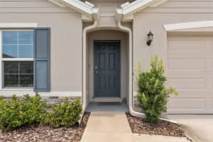 13196 GOLDEN LIME AVENUE, SPRING HILL, FL 34609 - MLS#MFRW7884362