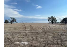 112 115TH AVENUE, DUNNELLON, FL 34432 - MLS#MFRW7884364