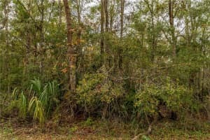 LAKE LINDSEY TRACT 2 RD, BROOKSVILLE, FL 34601 - MLS#MFRW7884394