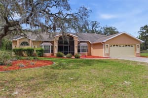 18805 KELLY ROAD, SPRING HILL, FL 34610 - MLS#MFRW7884407