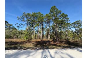 00 PENN STATE ROAD, WEEKI WACHEE, FL 34613 - MLS#MFRW7884415