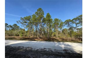 00 PENN STATE ROAD, WEEKI WACHEE, FL 34613 - MLS#MFRW7884415
