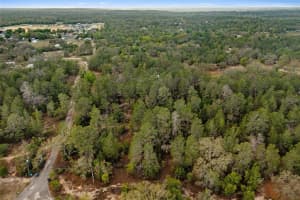 0 HARRISON STREET, BROOKSVILLE, FL 34613 - MLS#MFRW7884427