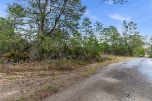 0 HARRISON STREET, BROOKSVILLE, FL 34613 - MLS#MFRW7884427