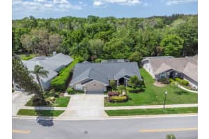 1806 KINSMERE DRIVE, TRINITY, FL 34655 - MLS#MFRW7884433