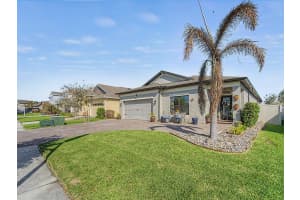 30959 PARROT REEF COURT, WESLEY CHAPEL, FL 33545 - MLS#MFRW7884437