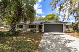 5341 ABAGAIL DRIVE, SPRING HILL, FL 34608 - MLS#MFRW7884438